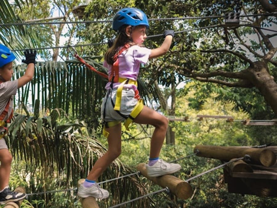 Treetop Adventure Dwellingup: Junior Ropes Course