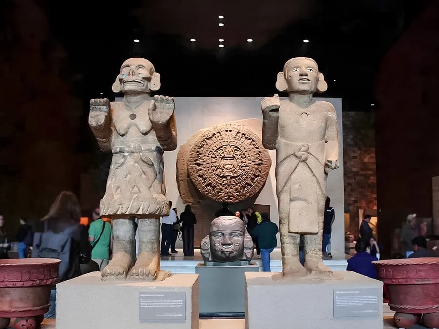 Anthropology Museum Skip-the-Line Tickets