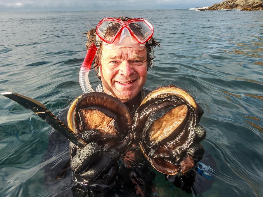 Full-Day Guided Cruise Tour in Tasmania with Seafood Lunch