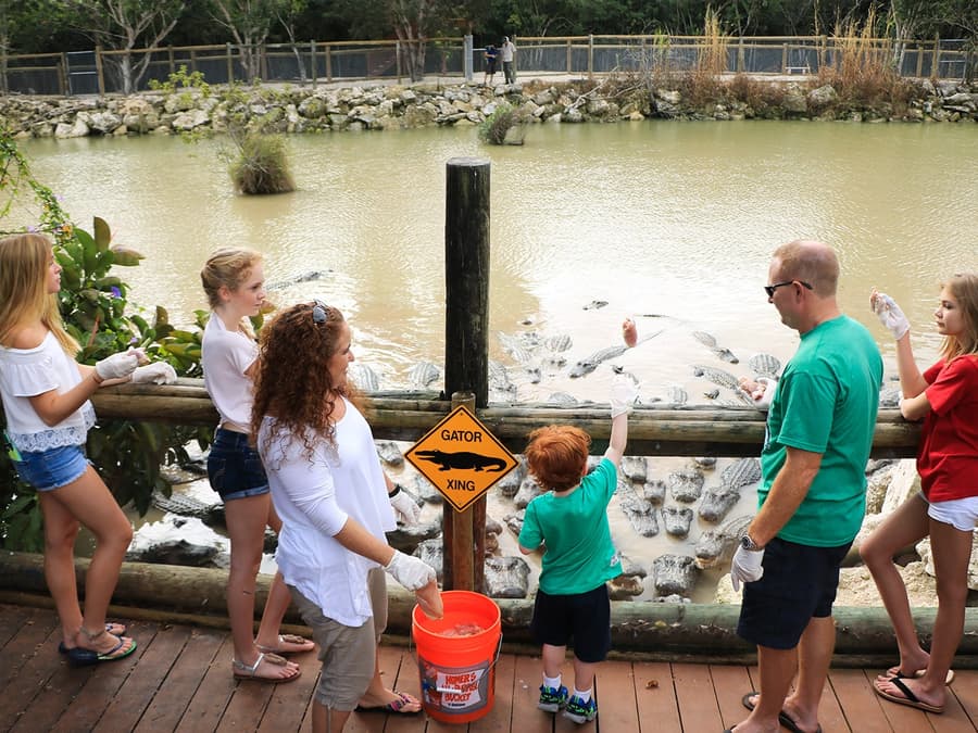 Go City Miami All-Inclusive Pass: Choose from 35 Attractions