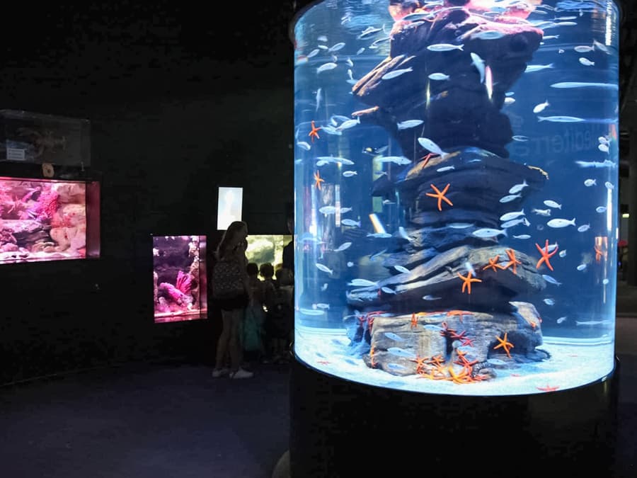 Aquarium de Paris Priority Access Tickets
