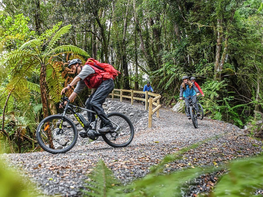 Tour guiado en bicicleta eléctrica y caminata por el Valle de Fox Glacier