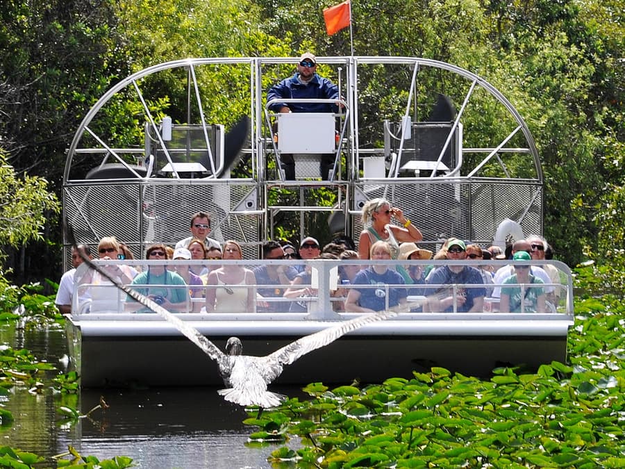 Miami: Airboat Tour with Wildlife Show & Transportation from Miami
