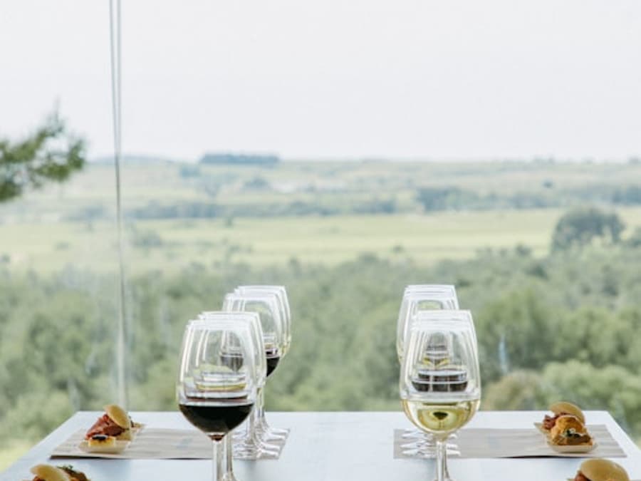 Cantina Jean Leon: visita guidata + abbinamento di vini e tapas