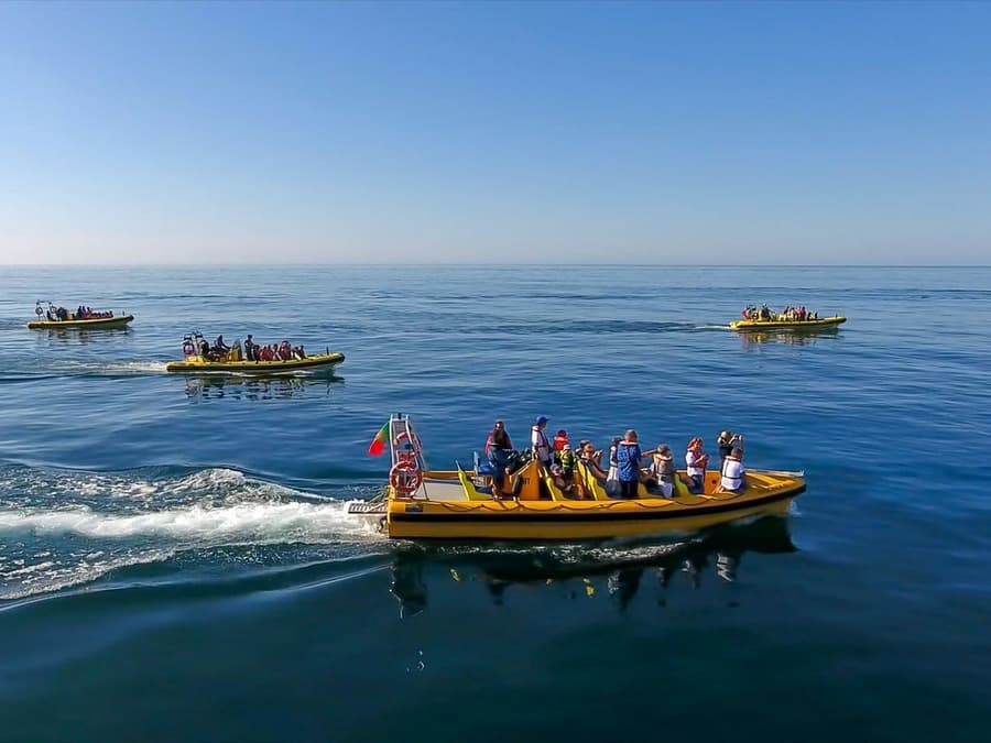 Lawatan Dolphin dan Kapal Pesiar Gua Berpandu Selama 2 Jam di Algarve
