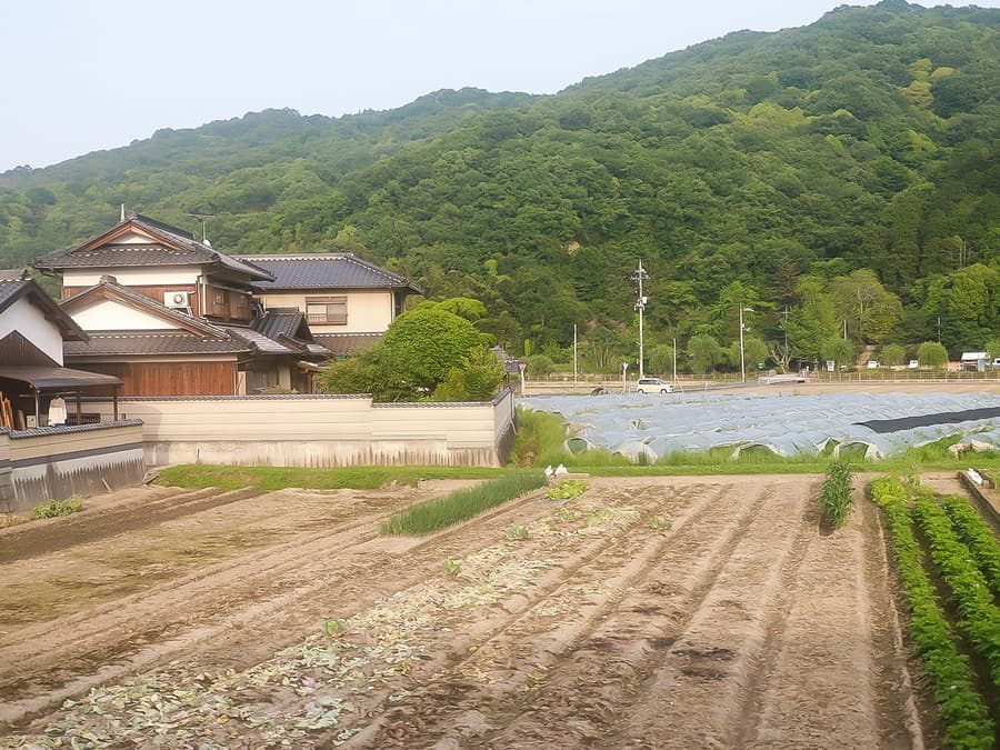 5日JR岡山-廣島-山口地區通行證