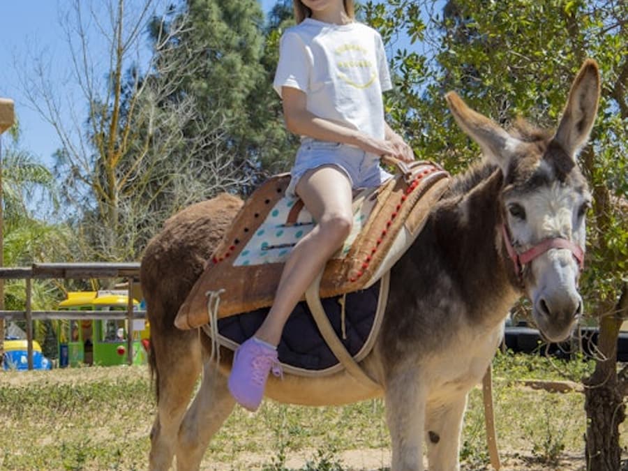 Krazy World Algarve Park: Entry Ticket