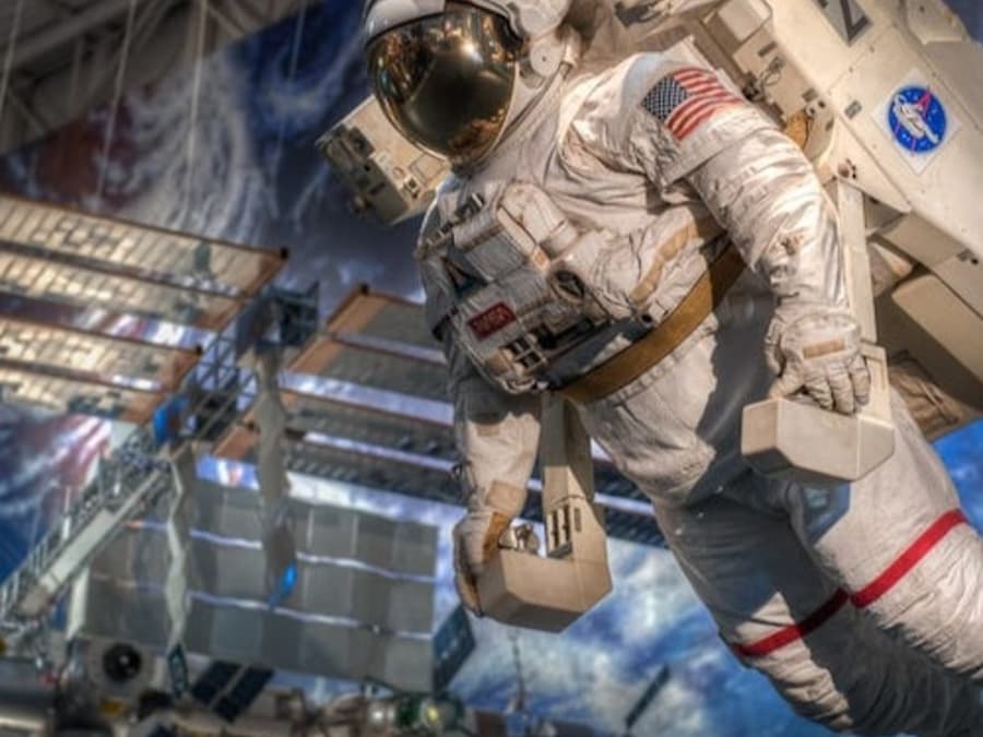 Houston: Guided City Tour + NASA Space Center Entry + Transfers