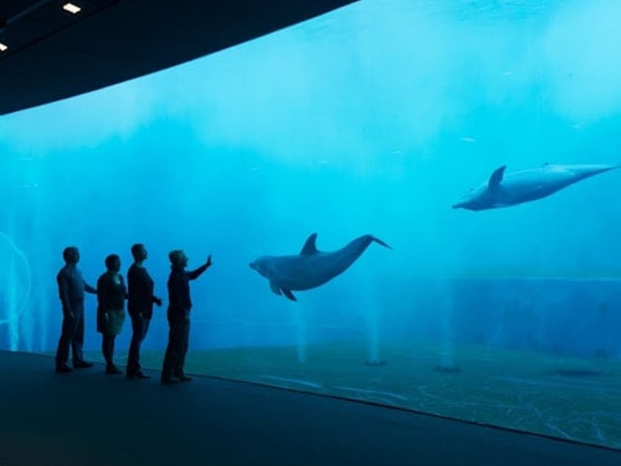 Aquarium of Genoa: Entry Ticket + Ice Cream Tasting
