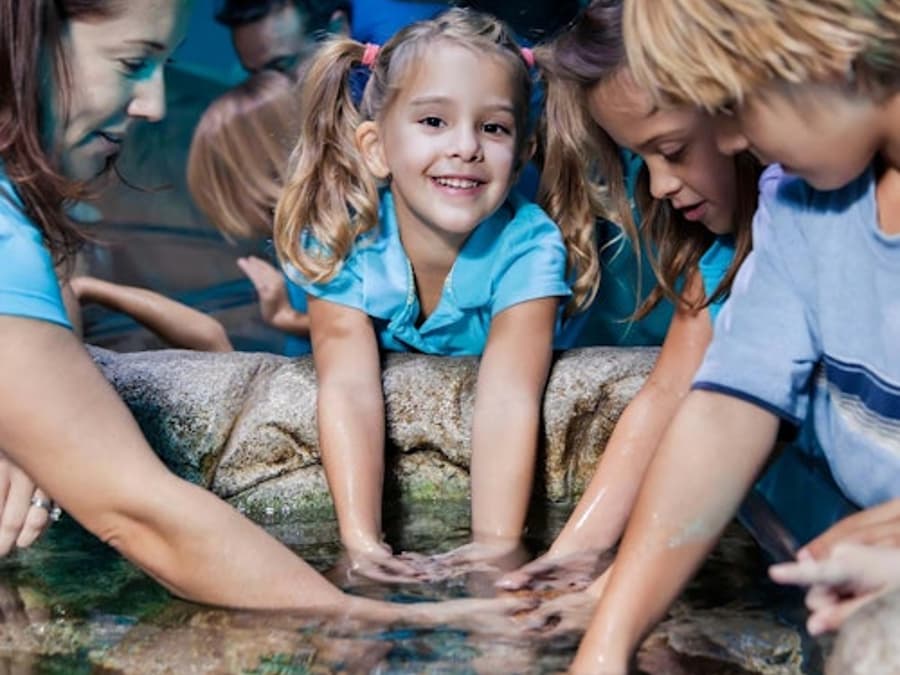 SEA LIFE Oberhausen: Biglietto d'ingresso