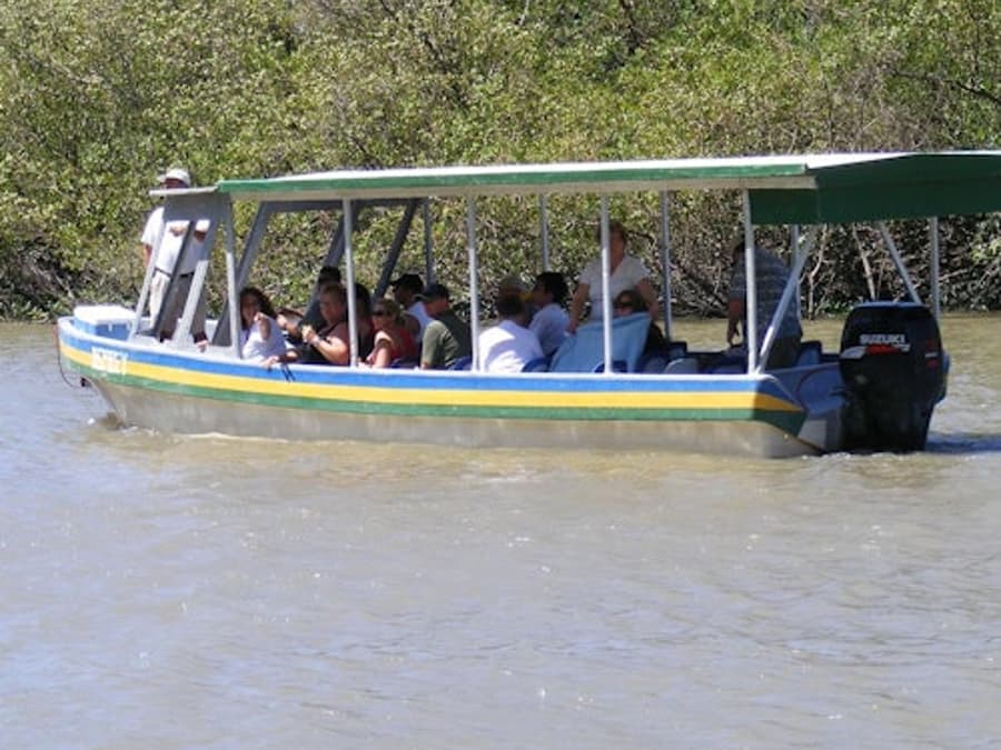 Palo Verde National Park: Jungle River Cruise