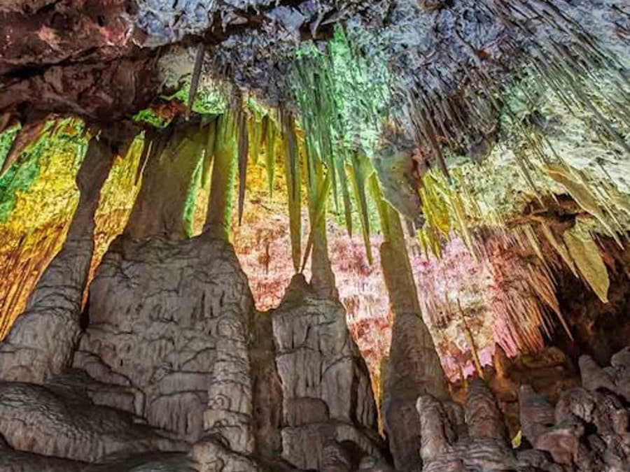 Dinosaurland & Caves dels Hams: Kombibiljett