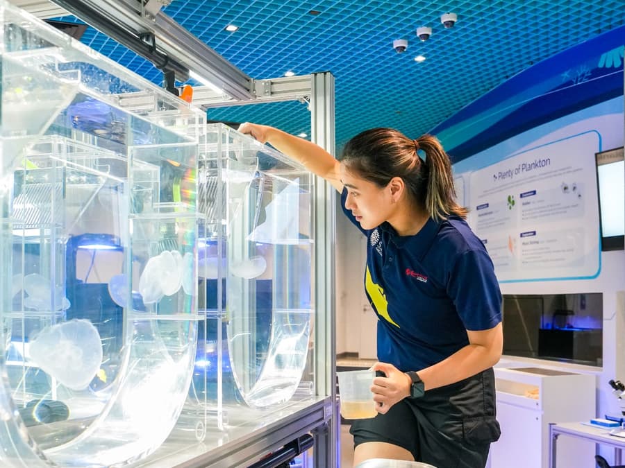 Singapore Oceanarium Tickets
