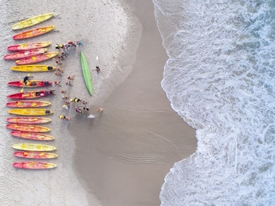 Kayak with the Dolphins: Half-Day Guided Tour