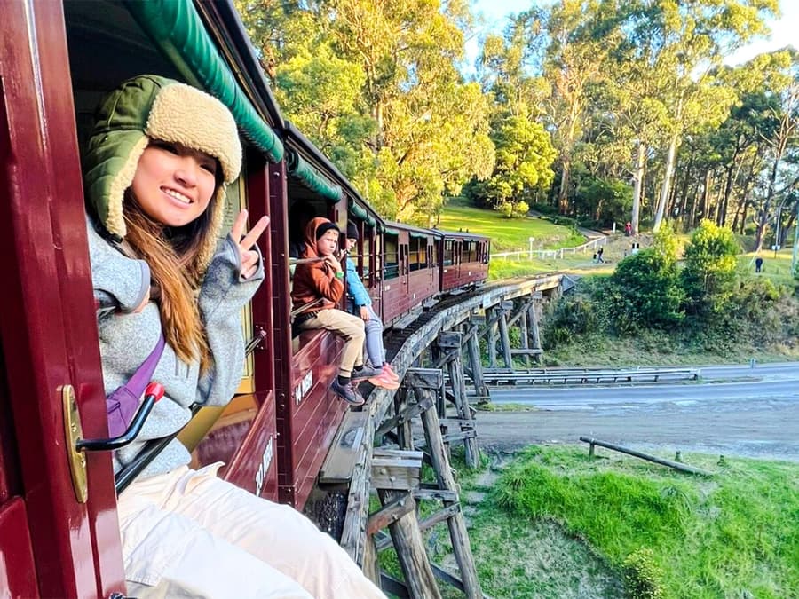 Depuis Melbourne : Tour pittoresque du Puffing Billy et du sanctuaire de Healesville avec transferts