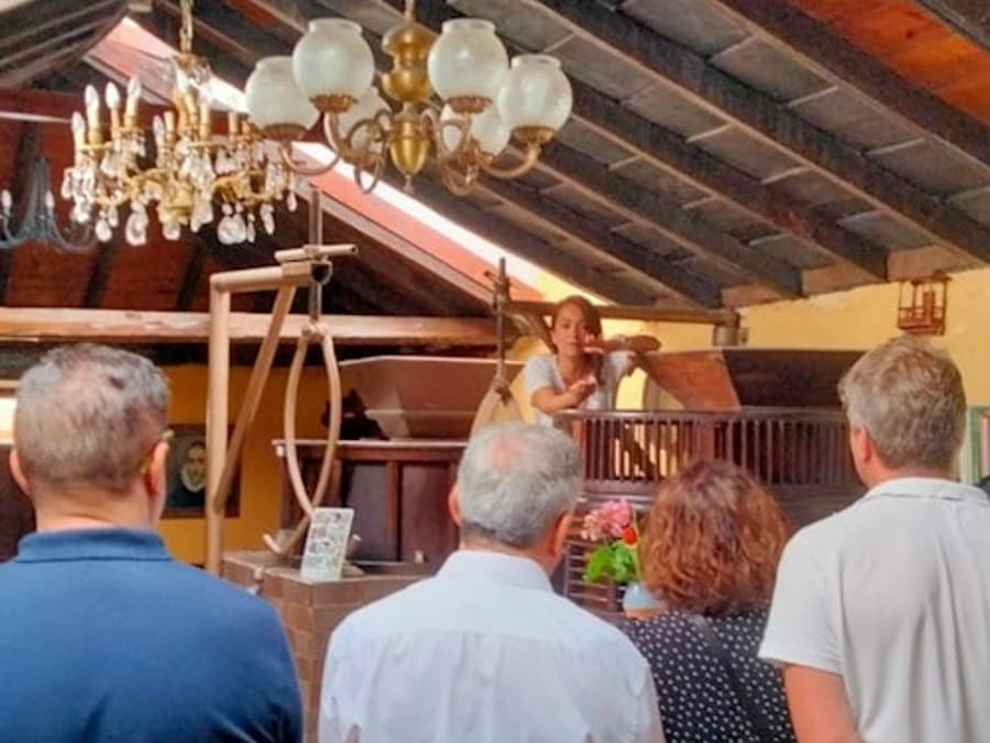 La Orotava: Guided Tour with Gofio Tasting