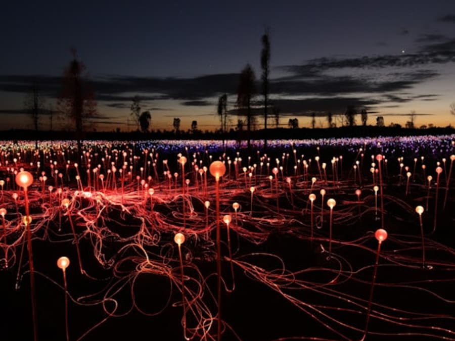 Field of Light Uluru: General Admission + Transfer