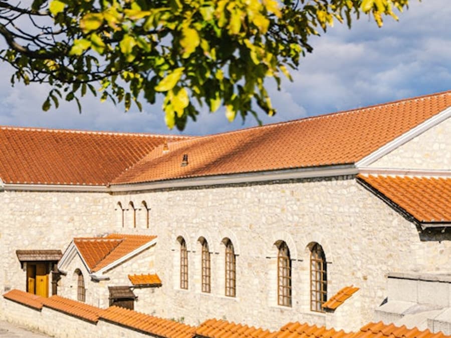 Thành phố La Mã Carnuntum: Tham quan có hướng dẫn bằng tiếng Slovakia