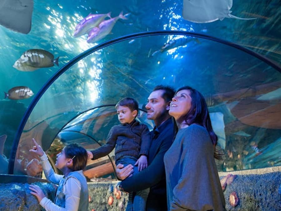 Gardaland SEA LIFE Aquarium: Entry Ticket