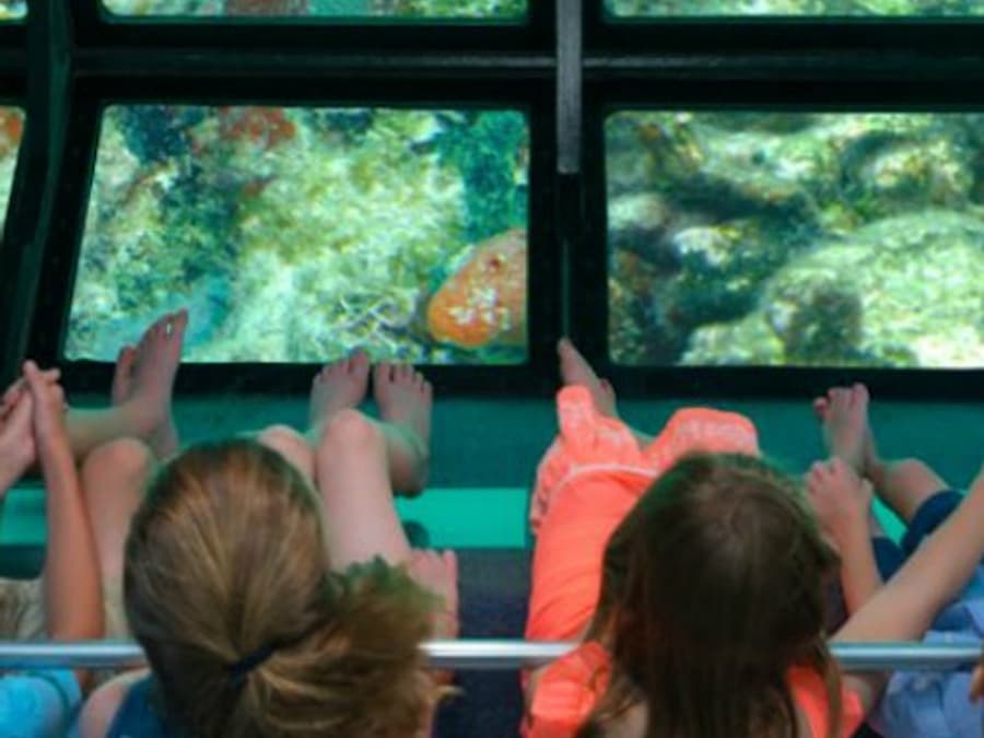 Excursión en Barco con Fondo de Cristal en Cayo Hueso