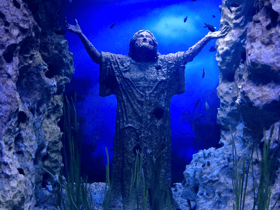 Malta National Aquarium Tickets