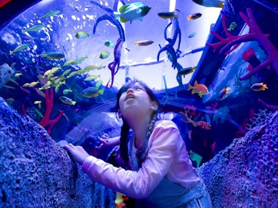 SEA LIFE Malaysia: Entry Ticket