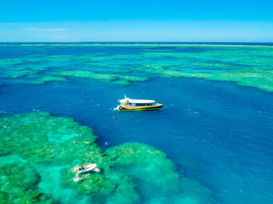 Airlie Beach: Tour de snorkel en el Gran Arrecife Exterior y Playa Whitehaven