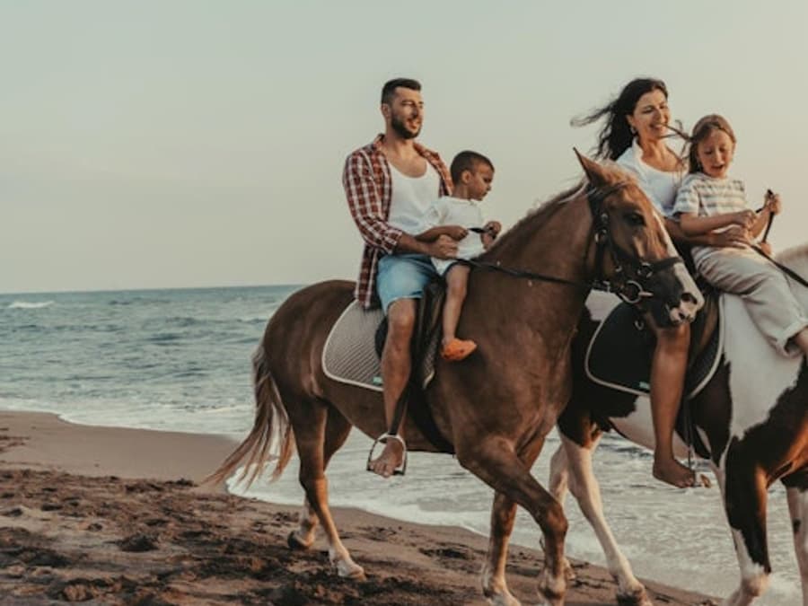 Horse Riding Tour: Sea and Desert with Transfer - Hurghada