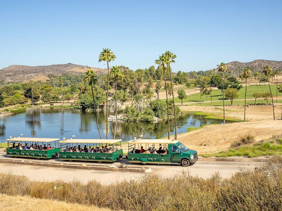 San Diego Zoo Safari Park Tickets