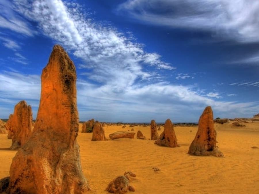 Padang Pasir Pinnacles & Taman Hidupan Liar Caversham: Lawatan + Luncur Pasir + Pengembaraan 4WD