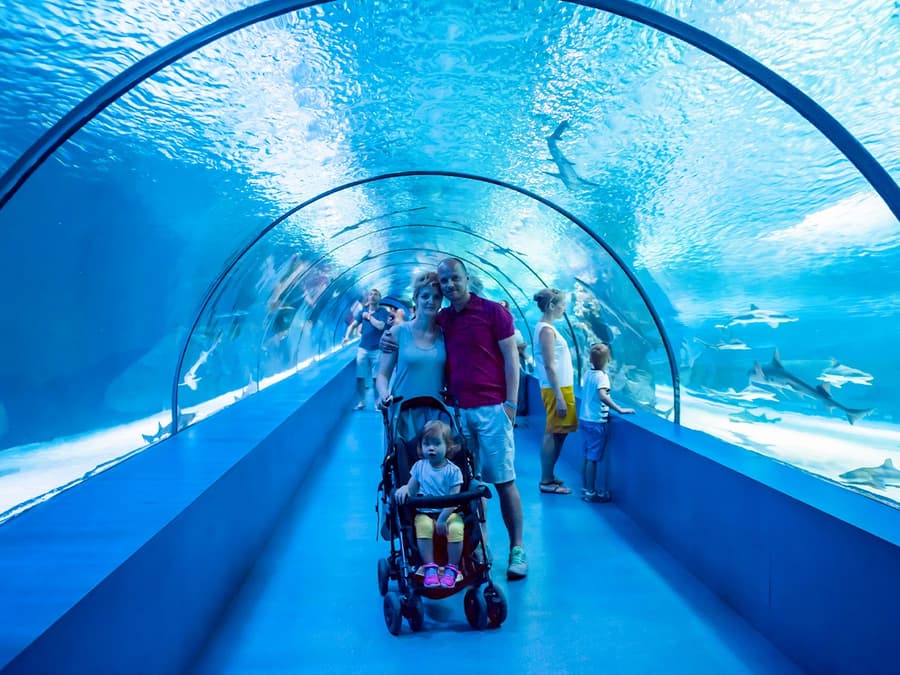Barcelona Aquarium Skip-the-Line Tickets