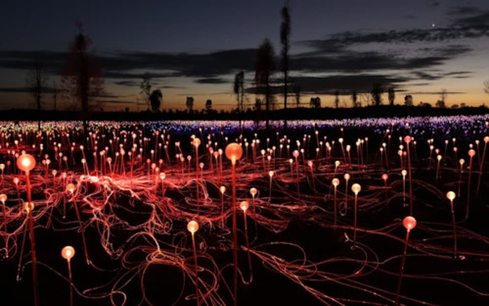 Bruce Munro's Field of Light installation glowing at dusk across the desert near Uluru