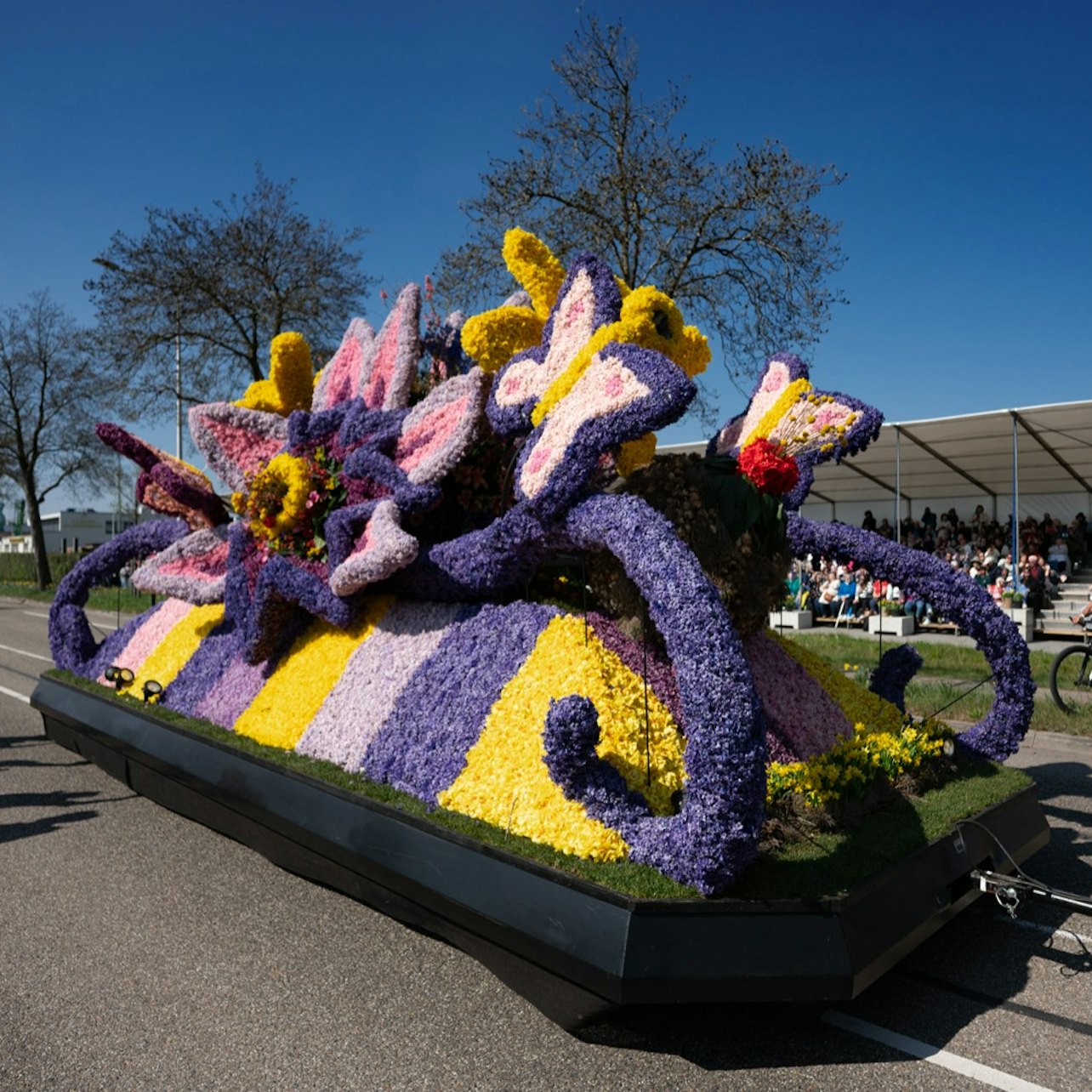 Keukenhof & Flower Parade: Day Tour from Amsterdam + Lunch — gallery 2