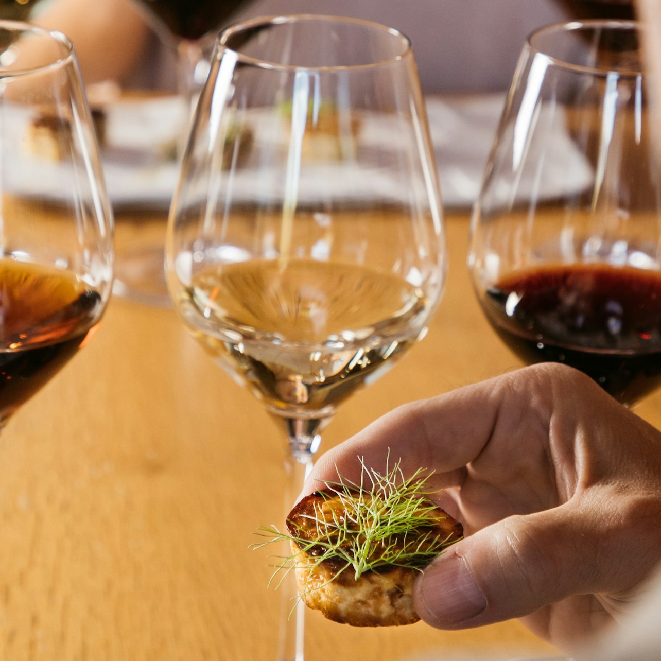 Torres Winery: Guided Tour + Wine & Tapas Pairing