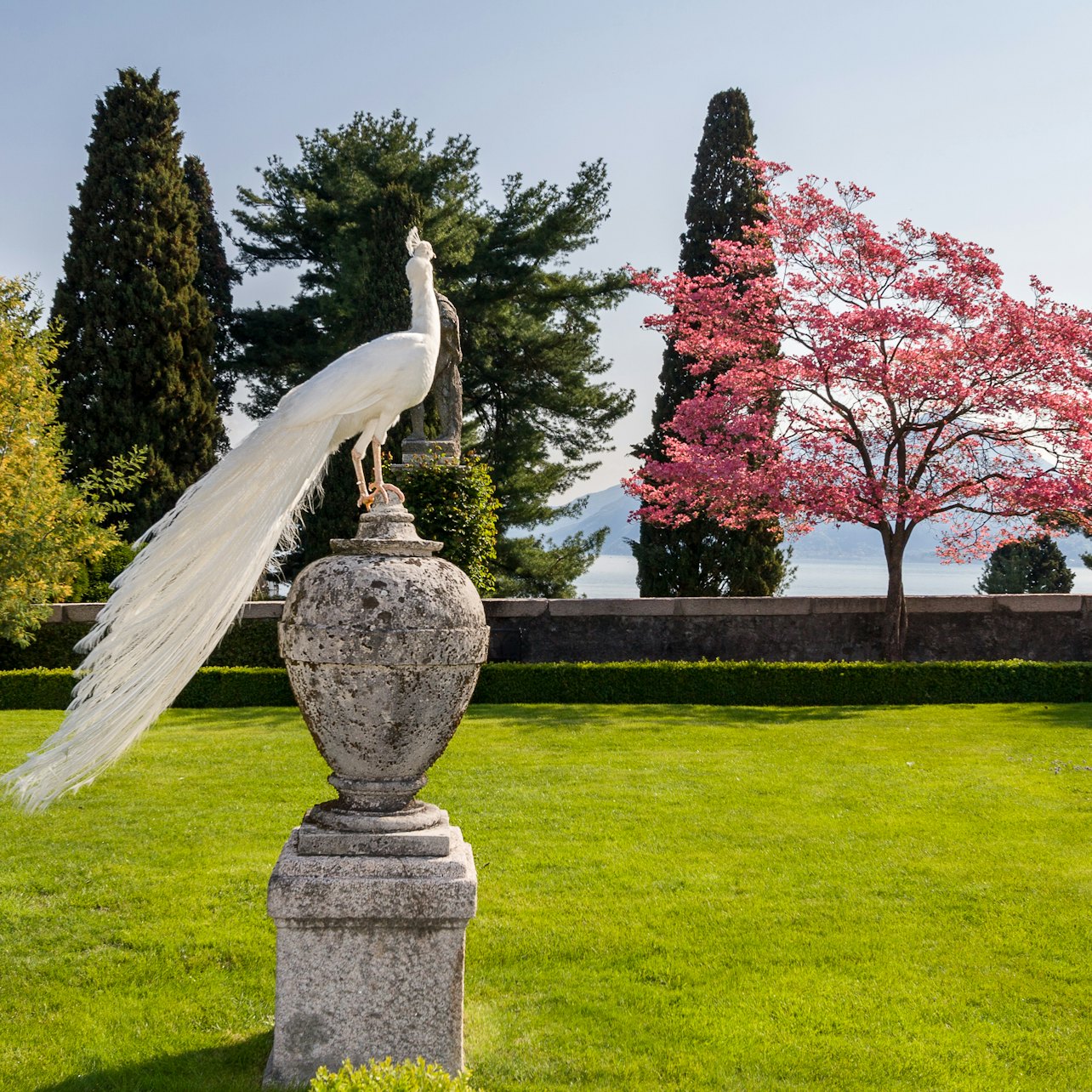 Lake Maggiore: Daytrip from Milan