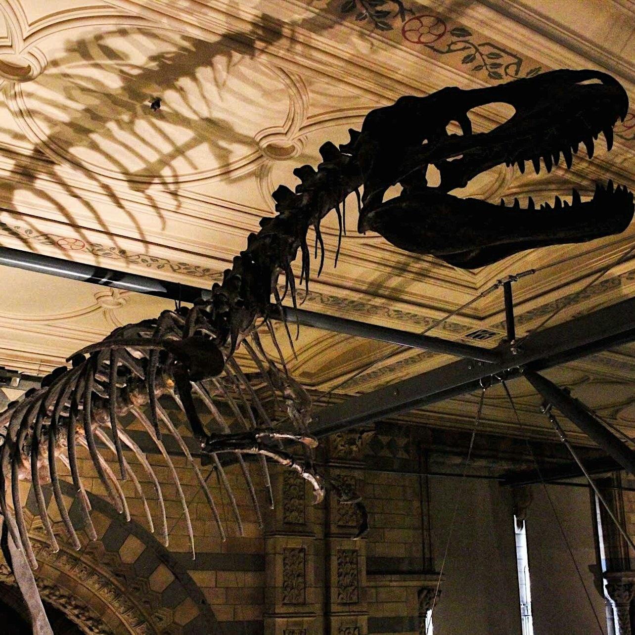 Natural History Museum London: Semi-Private Guided Tour