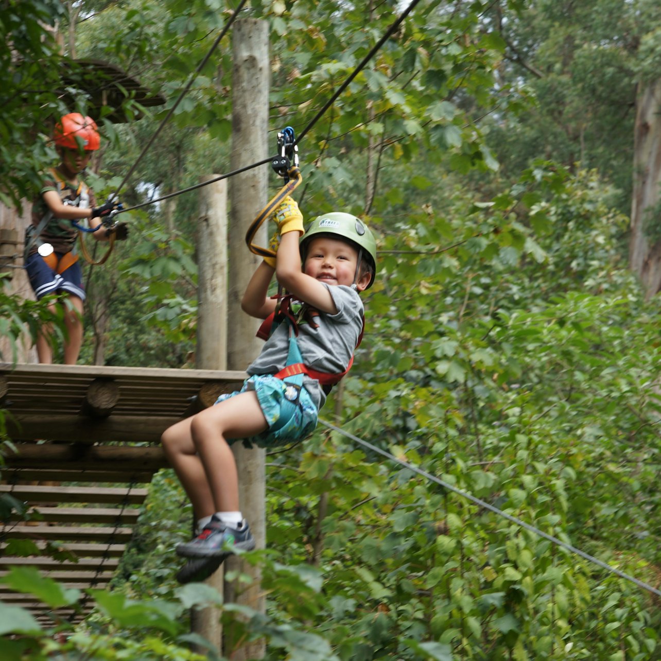 Treetops Adventure: Belgrave Park