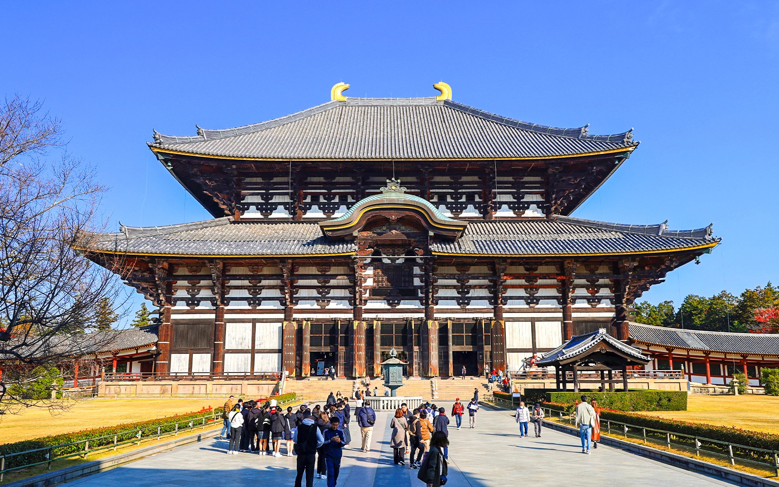Nara and Kyoto One-Day Bus Tour — gallery 4