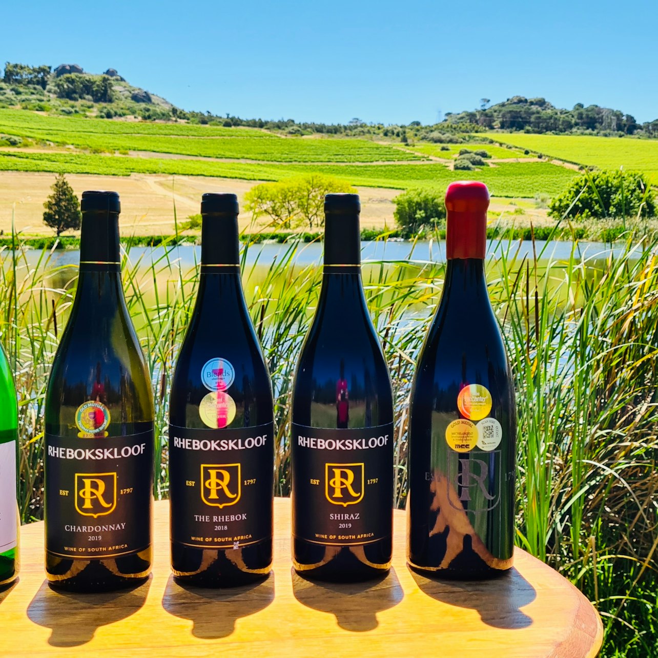 Paarl, Franschhoek, Stellenbosch Region Explorer Wine Tour — gallery 1