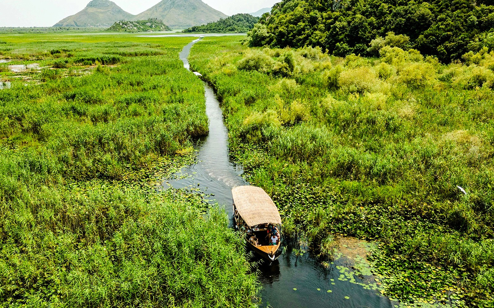 From Virpazar: Lake Skadar Sightseeing Boat Tour & Kom Monastery with Drinks — gallery 1