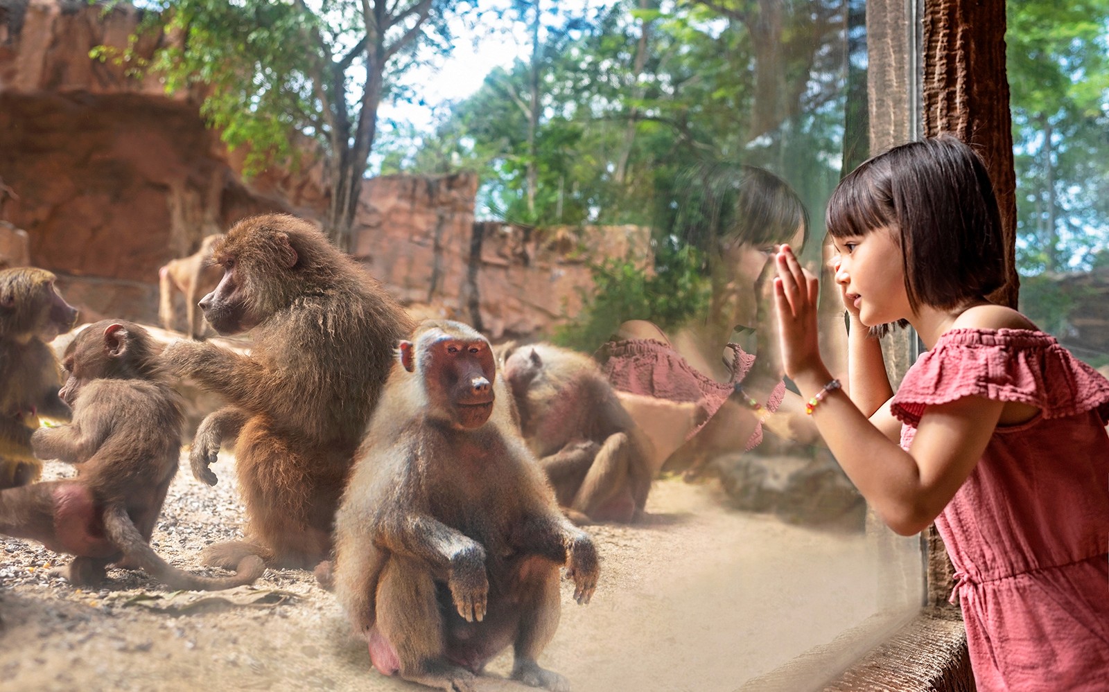 Singapore Zoo Tickets | Mandai Wildlife Reserve