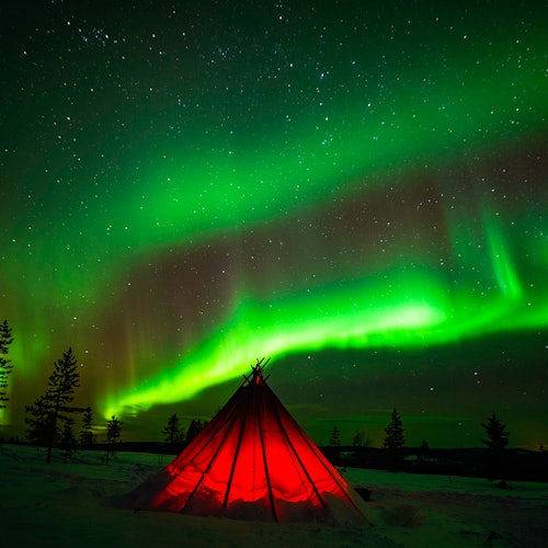 Northern Lights Rovaniemi: Wilderness Tour + Professional Camera — gallery 1