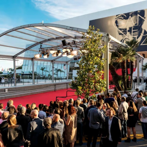 Cannes: Guided Vintage Van Tour — gallery 1