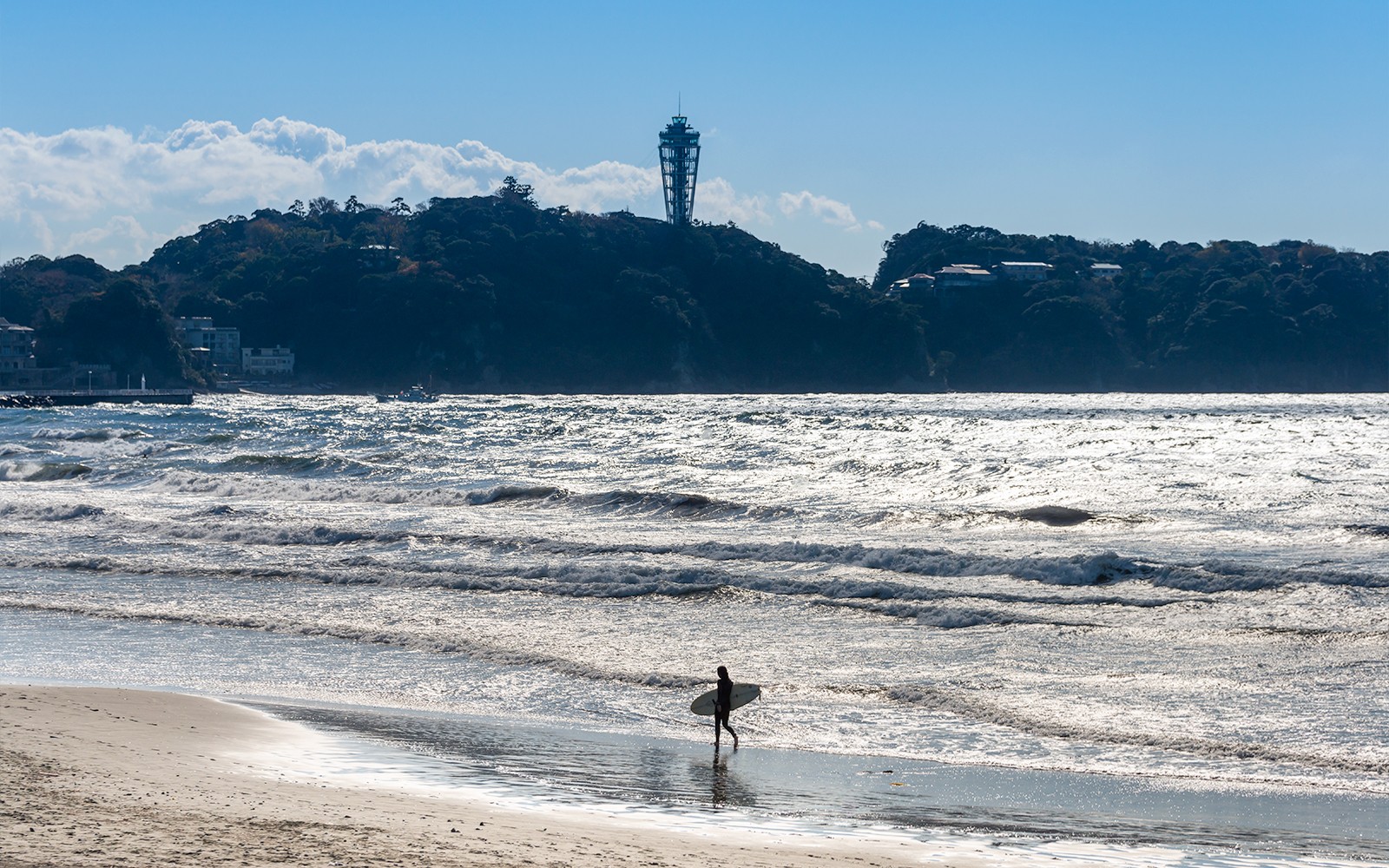 From Tokyo: Kamakura & Hasedera Day Trip with Kotoku In Temple, Enoshima, Enoden Train, & More