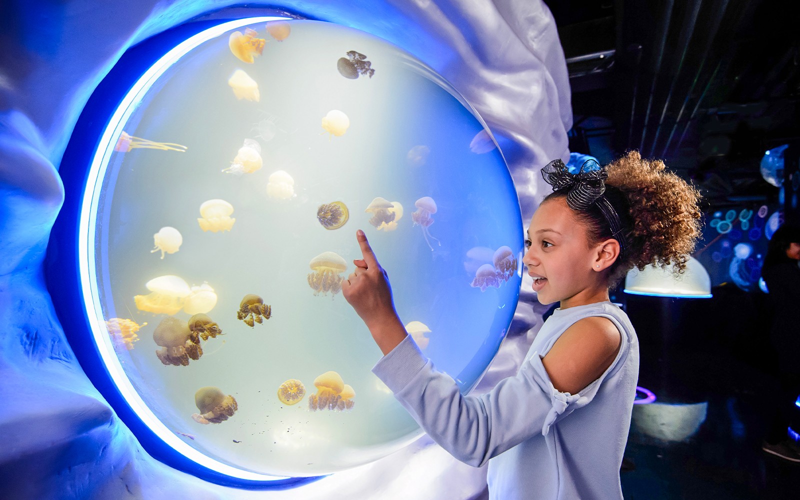 SEA LIFE London Aquarium: Deluxe Package — main image