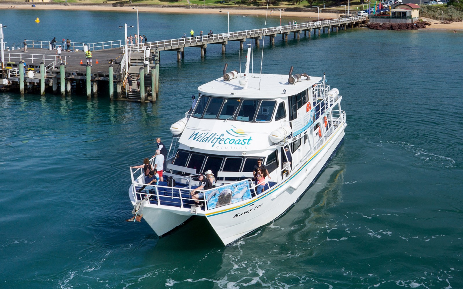 Seal Watching Afternoon Cruise at Phillip Island — gallery 2