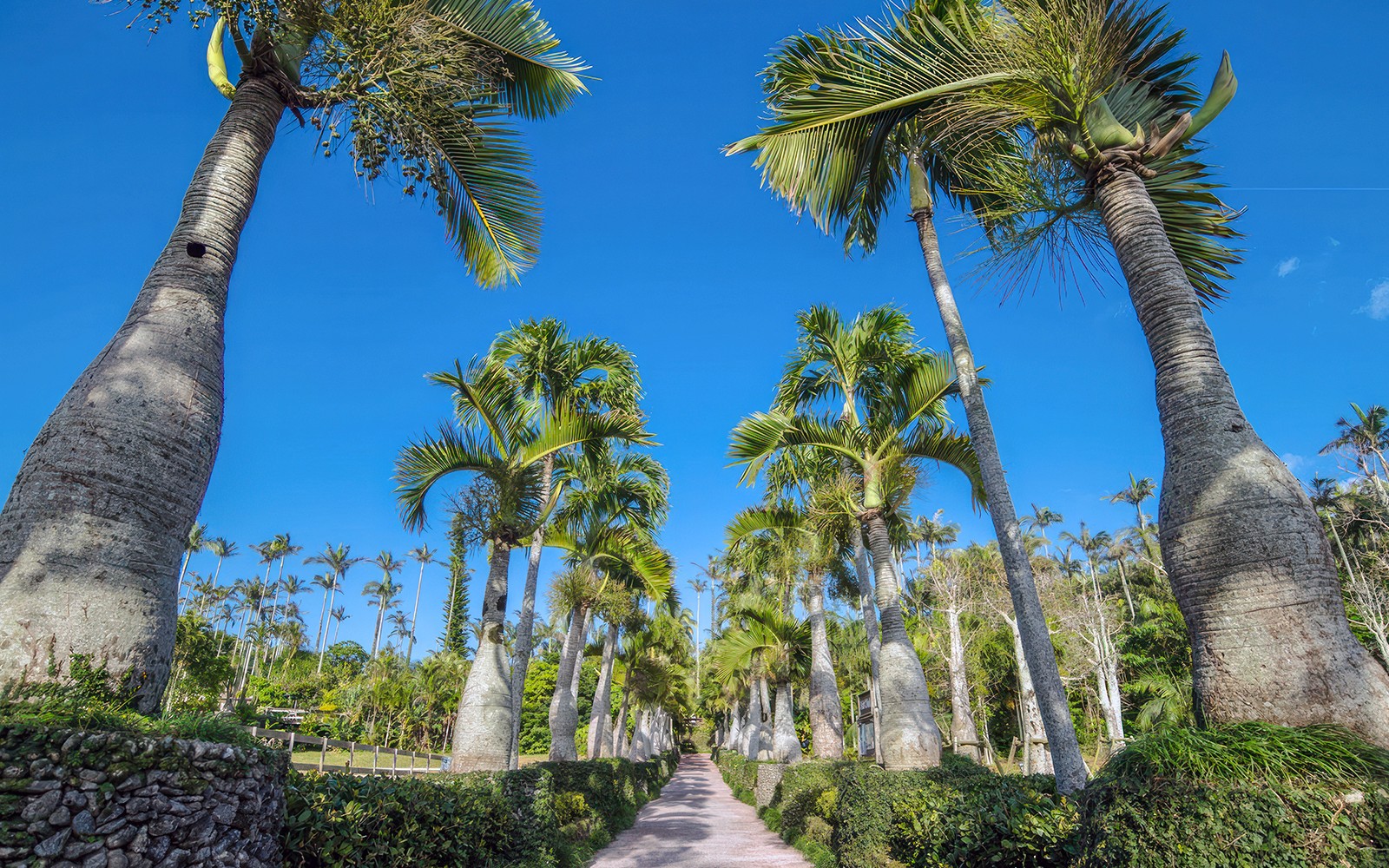 Tickets to Southeast Botanical Gardens