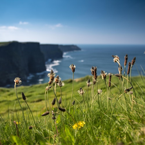 Galway to Cliffs of Moher Bus: Half-Day Express Tour — gallery 1