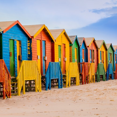 Boulders Beach & Cape Point: Half-Day Tour — gallery 1