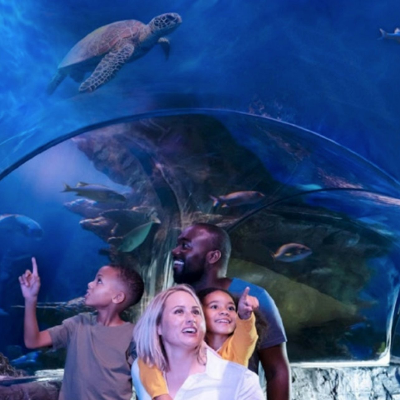 SEA LIFE Orlando: Entry Ticket